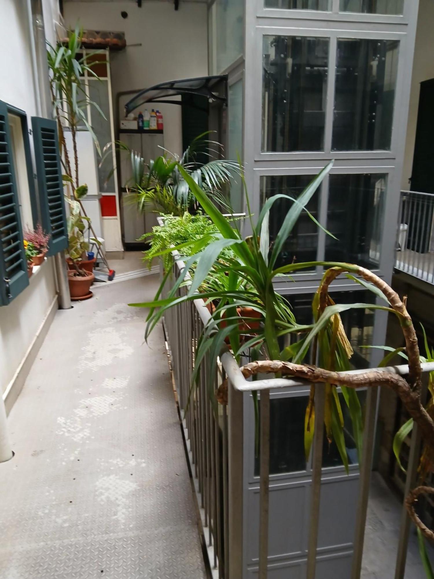B&B Casa Degli Artisti Palermo Eksteriør billede